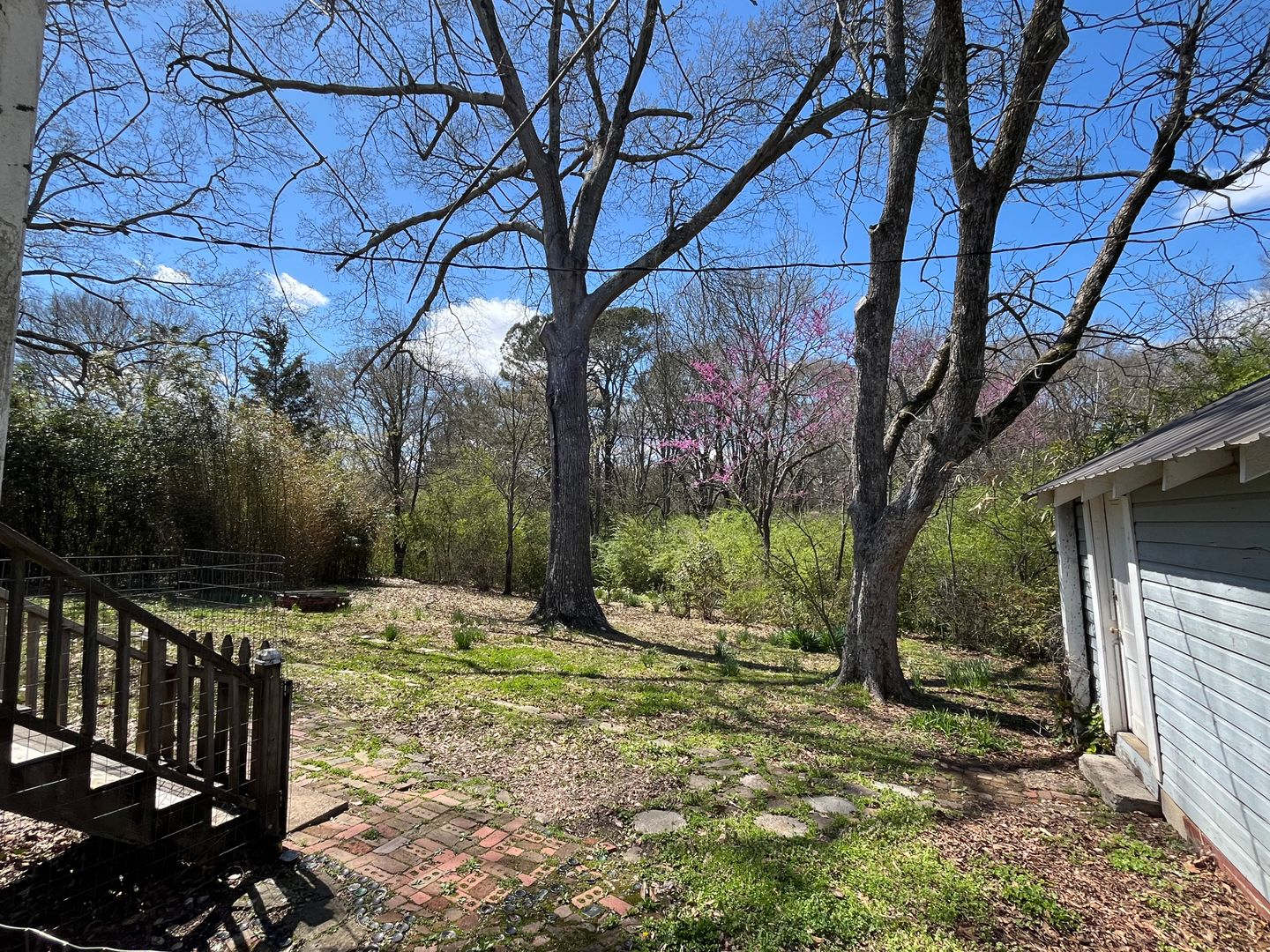 1511 North Main St, Water Valley, MS – photo 4