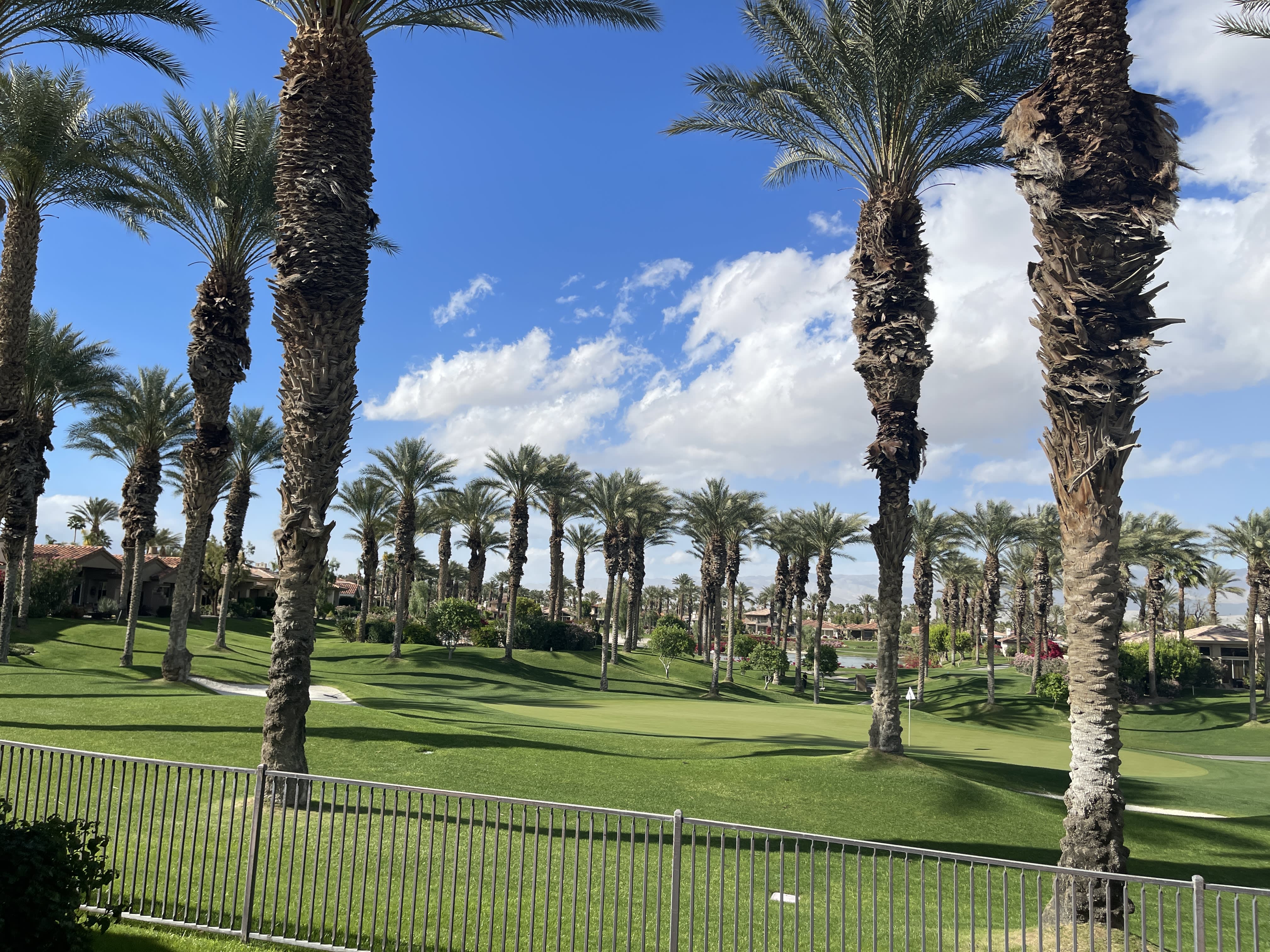 392 Desert Holly Drive – photo 2