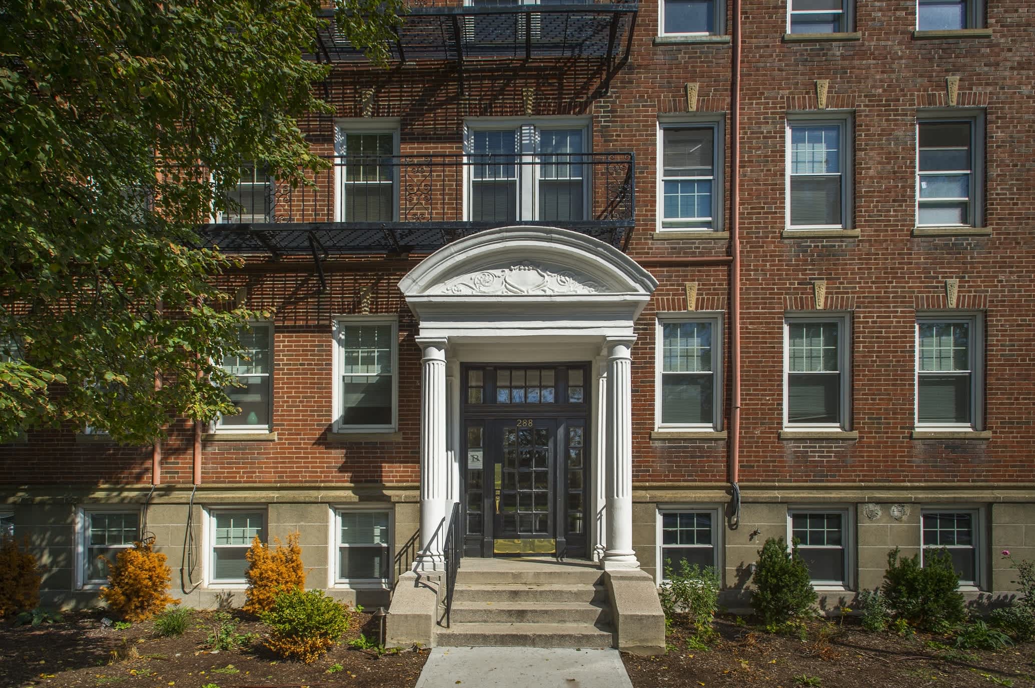 286 Chestnut Hill Ave – photo 5