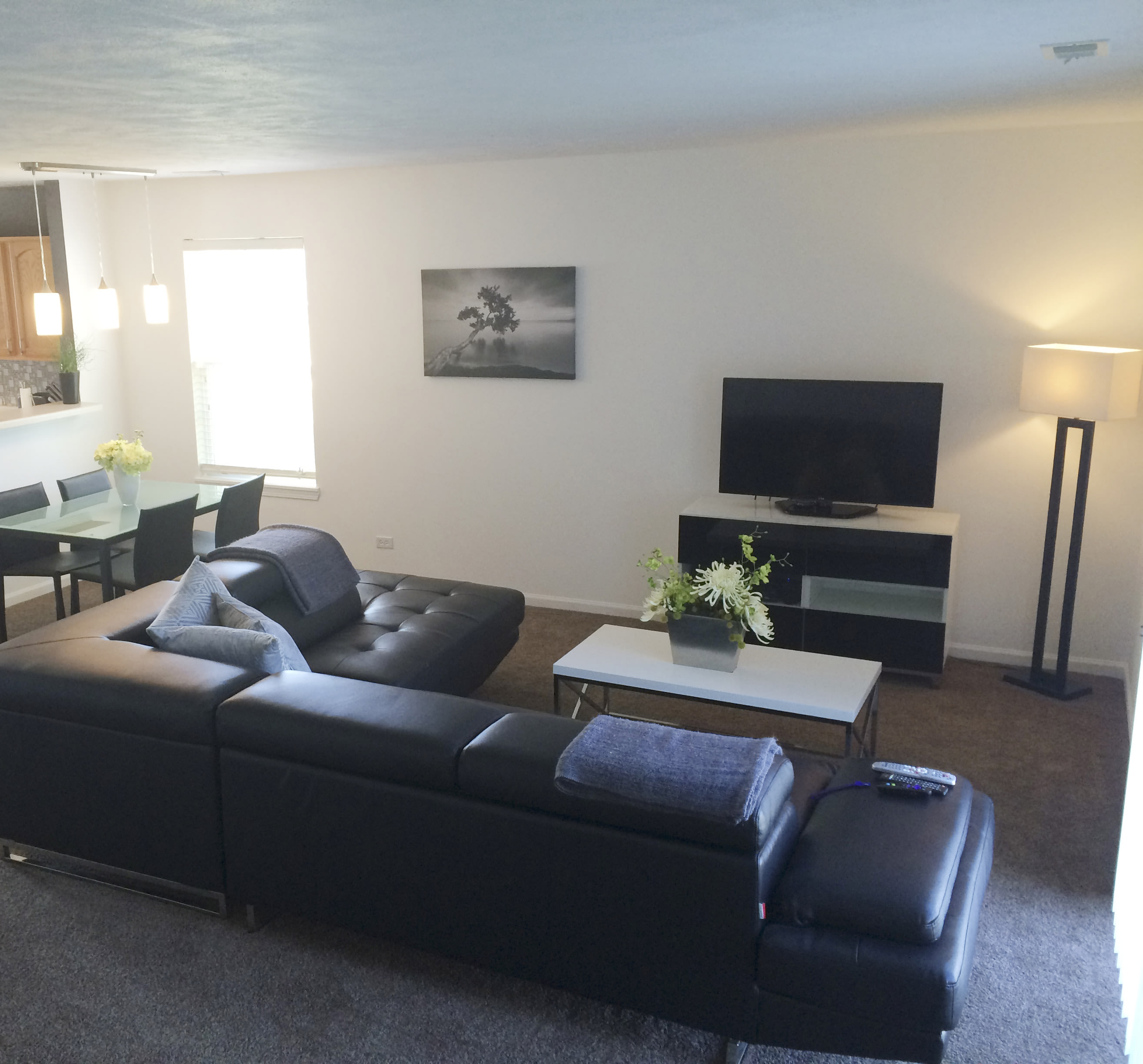1667 W Chrysler Dr – photo 5