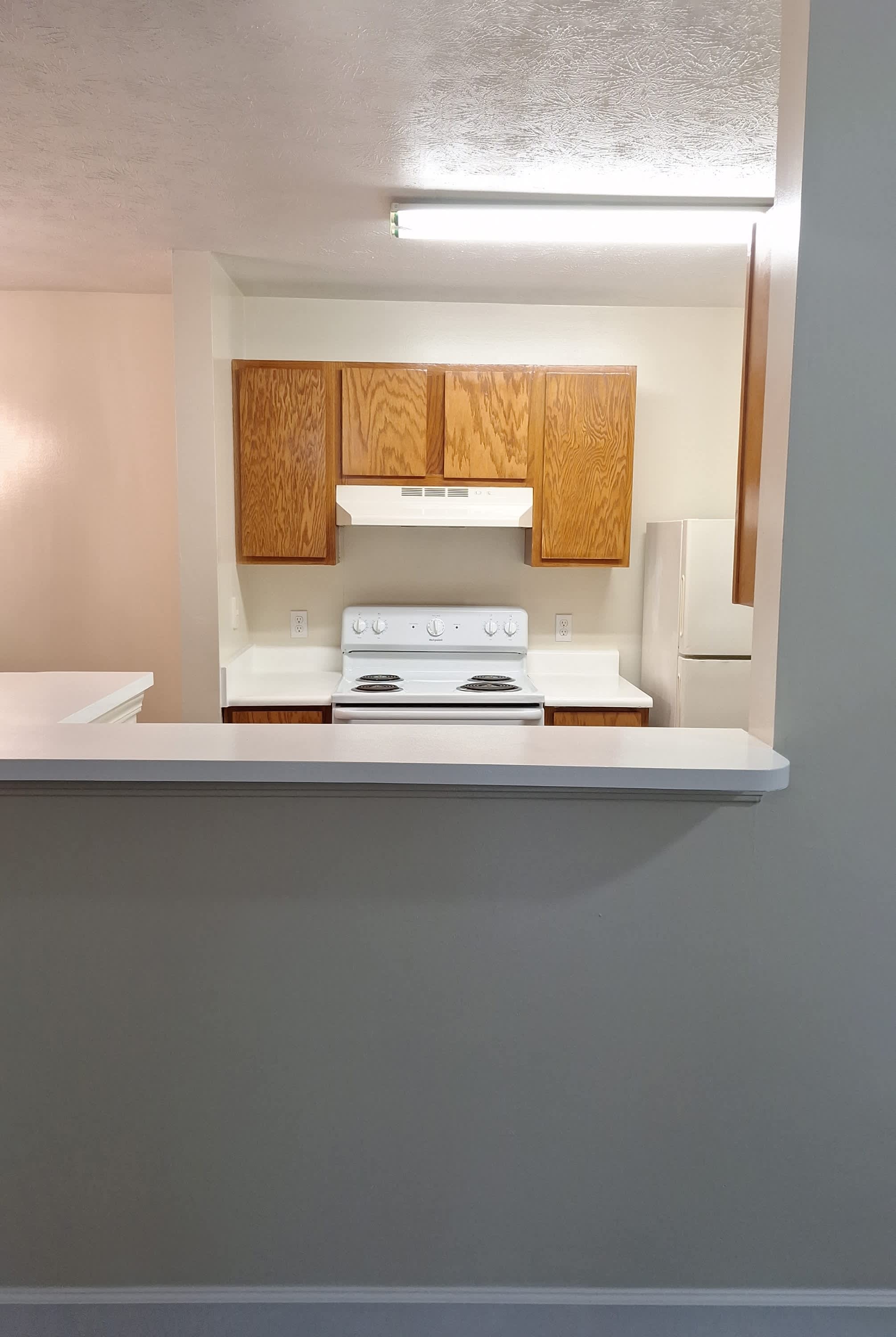 3231-E Virginia Pines Lane – photo 4