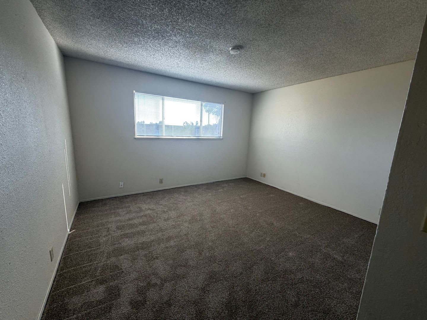 Newly Updated Home – photo 4