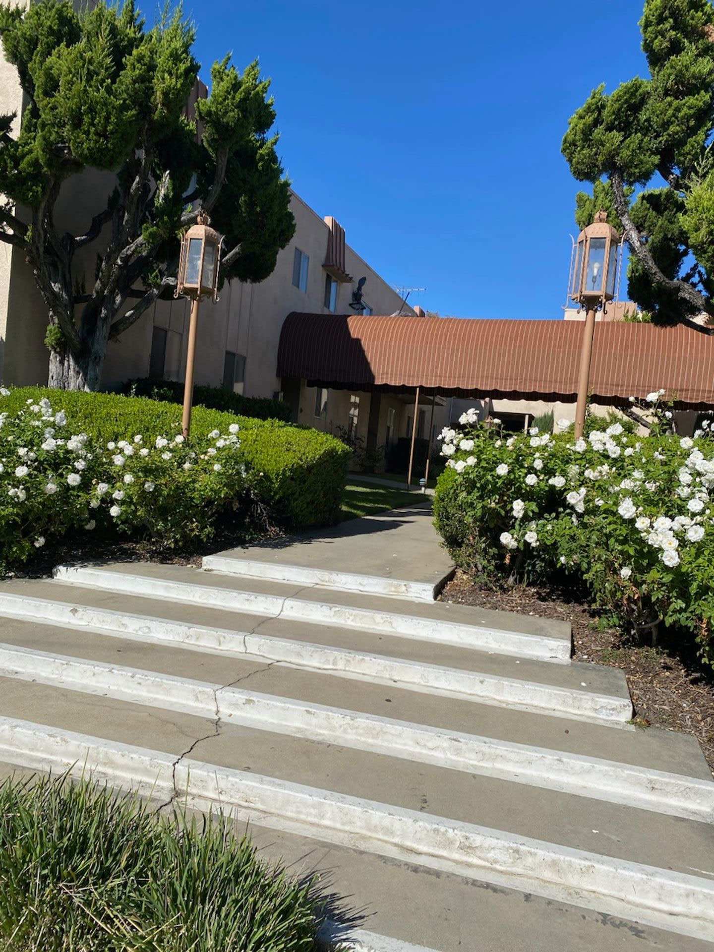 Amber Court – photo 1
