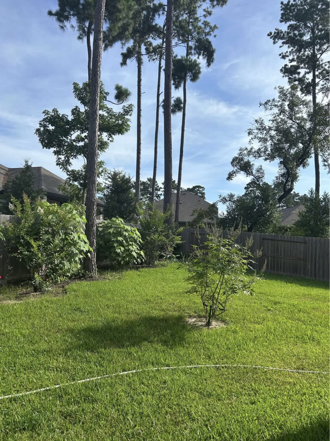 322 Fan Palm Ct – photo 3