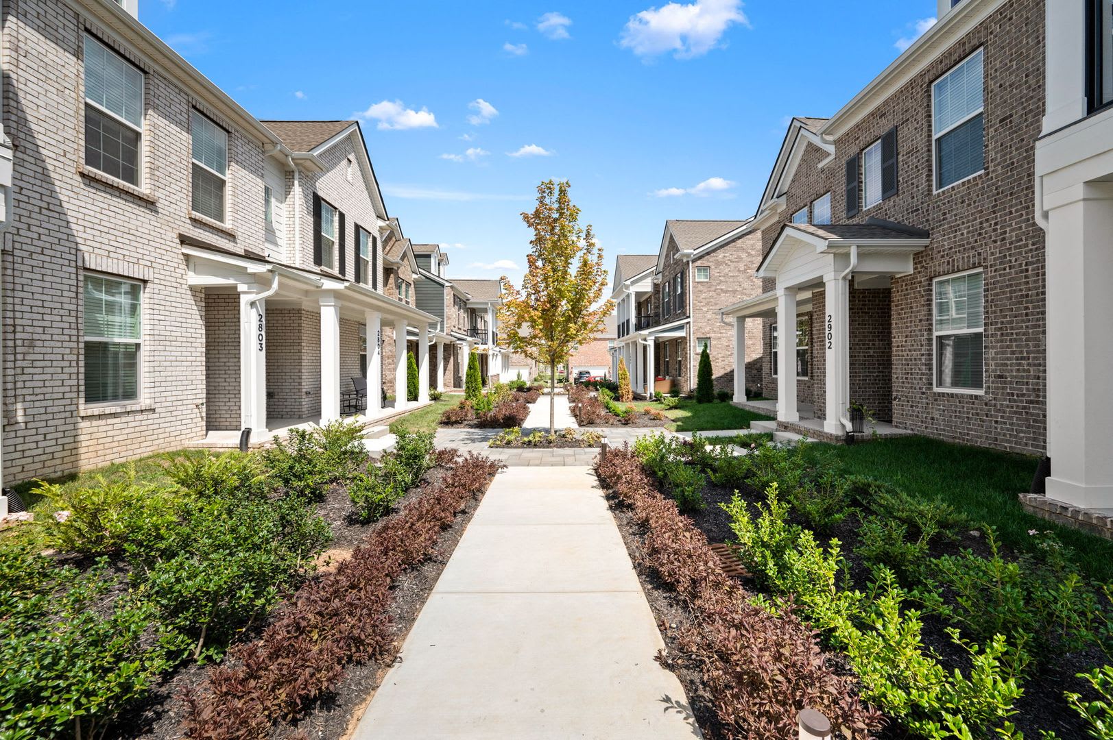 Luxury Townhome- Clari Park – photo 5