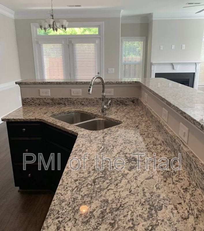 868 Silver Leaf Dr – photo 5