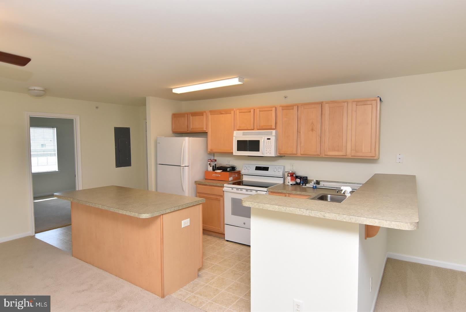 1306 CAITLINS Way – photo 4