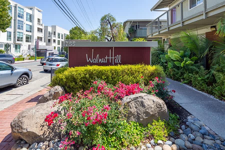 Walnut Hill – photo 2