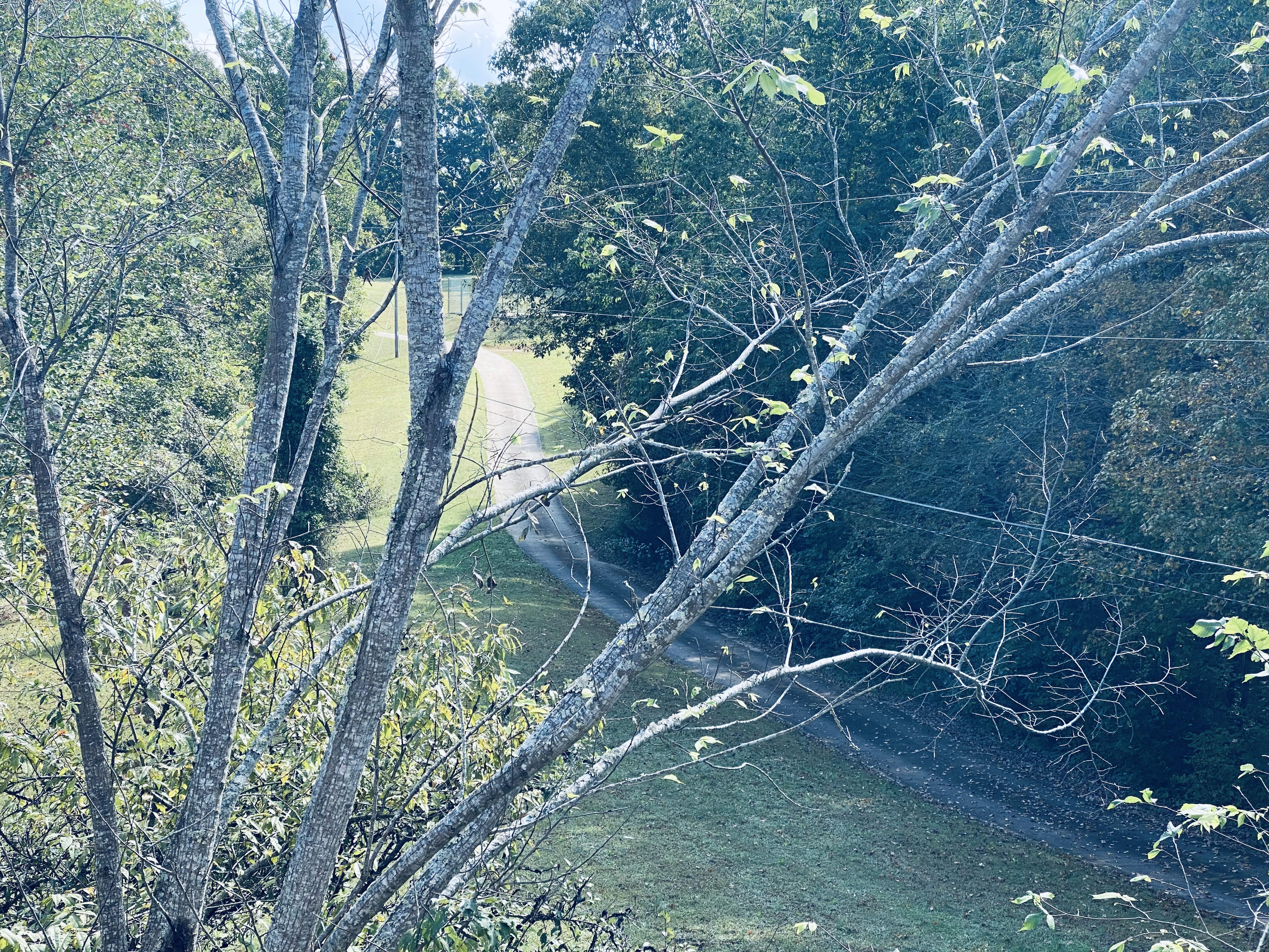 7378 Smiley Hollow Road – photo 4