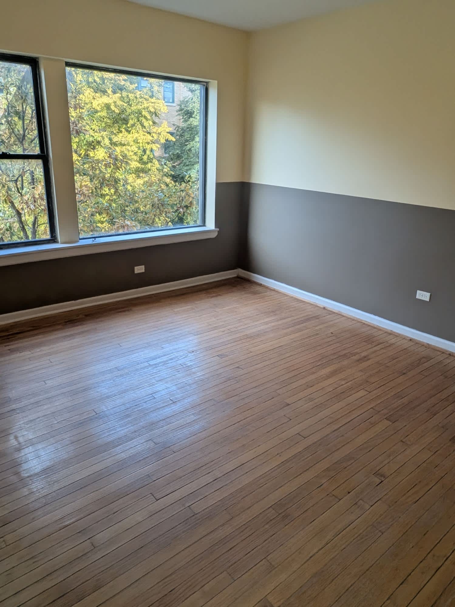 1315 West 82nd Street#1 – photo 3
