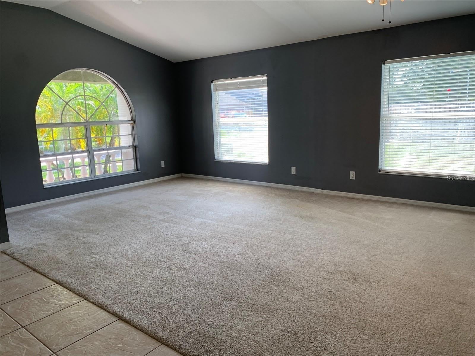 4211 HARTFORD LAKE Drive – photo 3