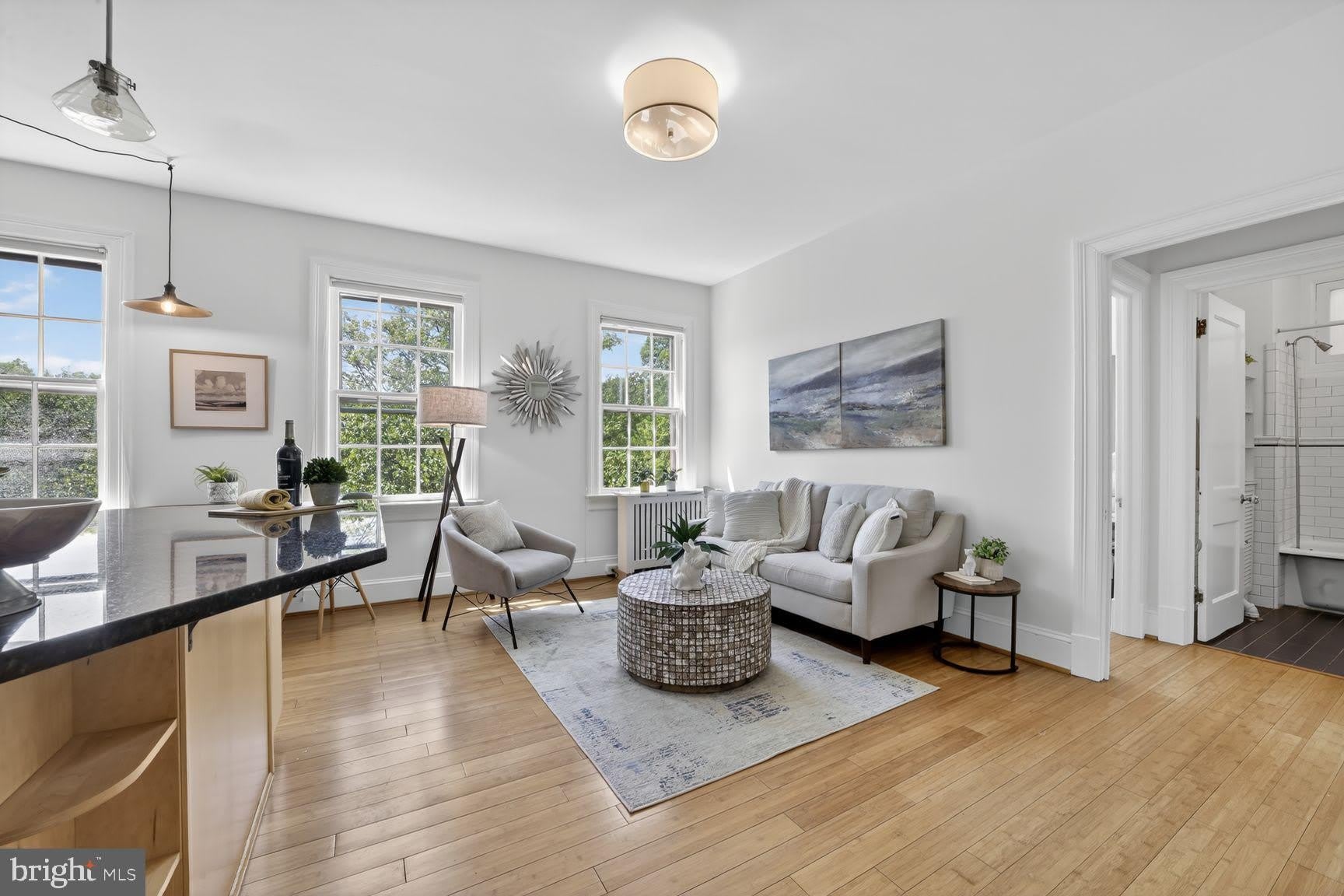 2707 ADAMS MILL Road NW – photo 5