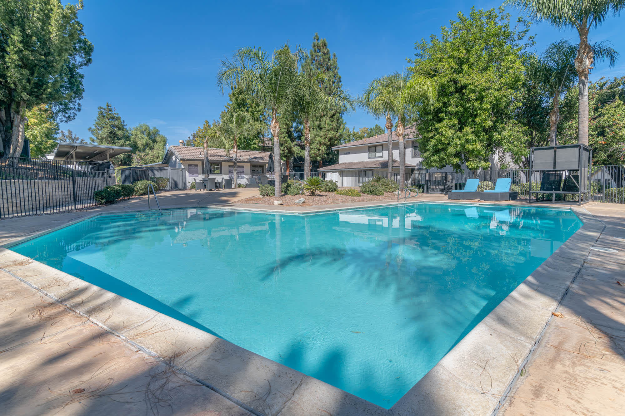 Shoreline Apartments – photo 5