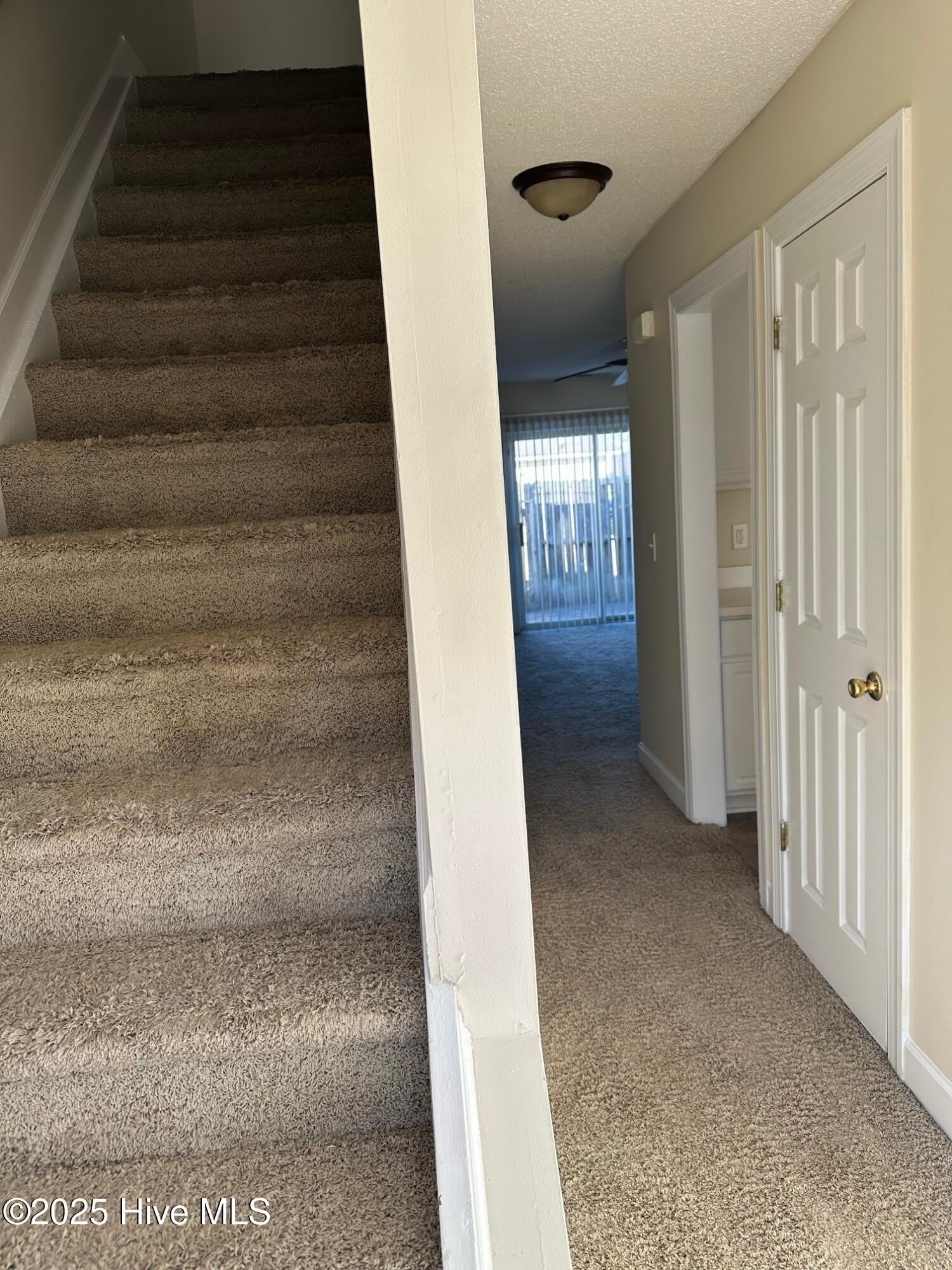 2913 Eastridge Court – photo 2