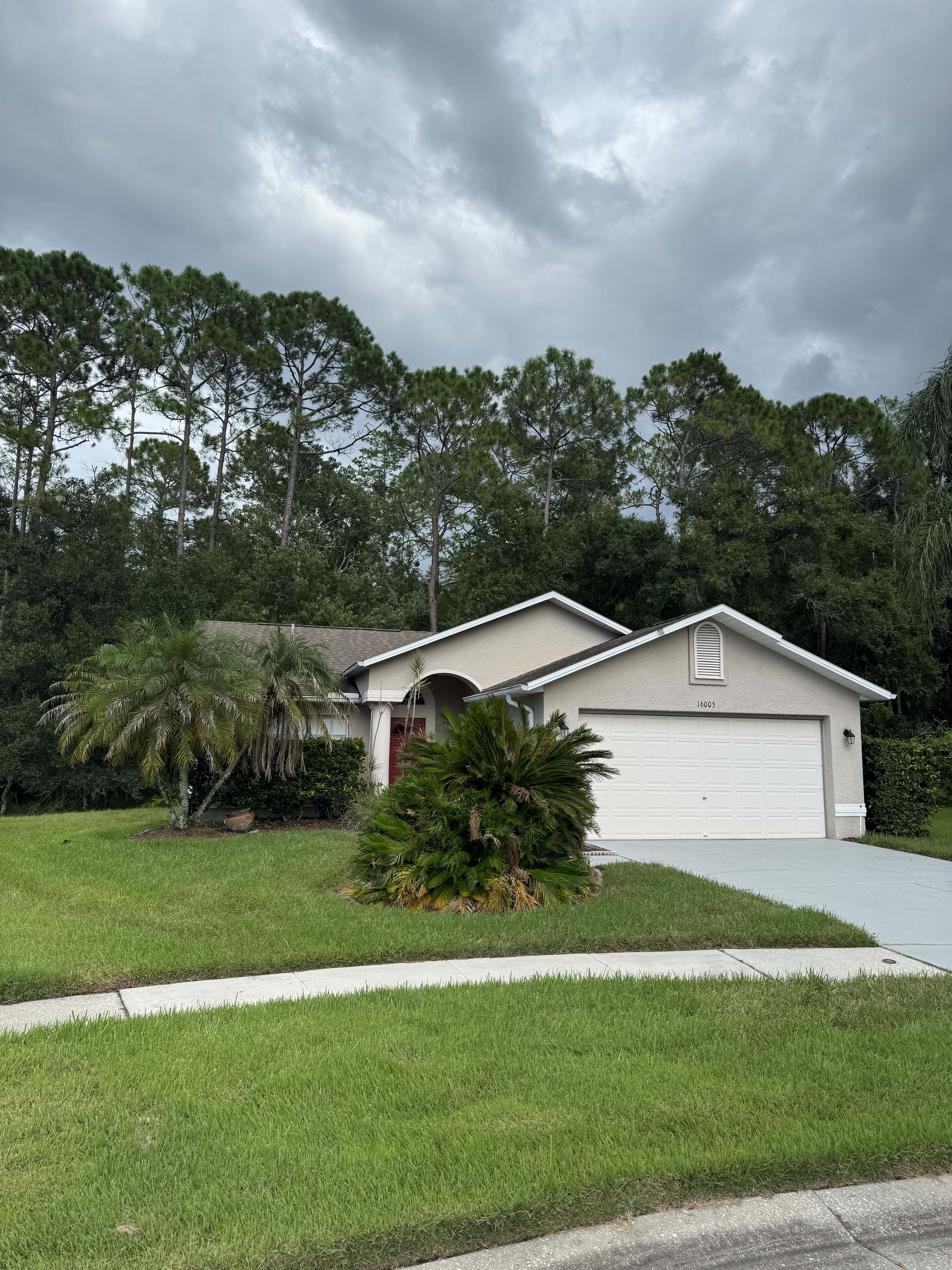 16005 Royal Aberdeen Place – photo 1
