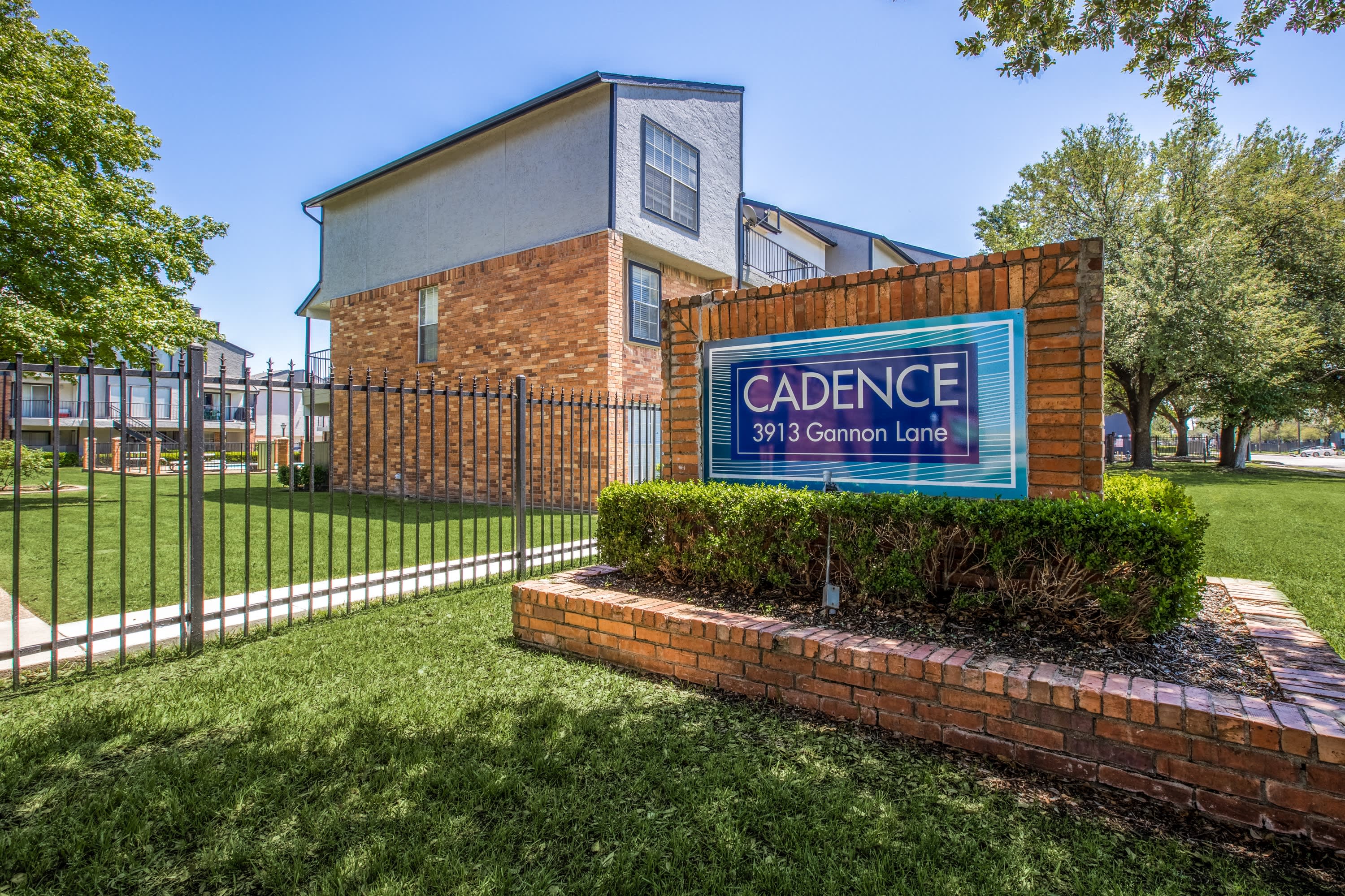 Cadence – photo 4