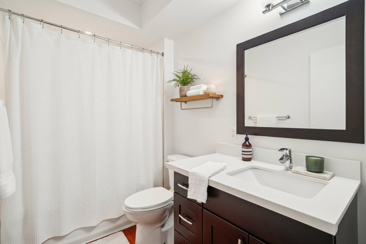 The Bluestone Apartments – photo 5