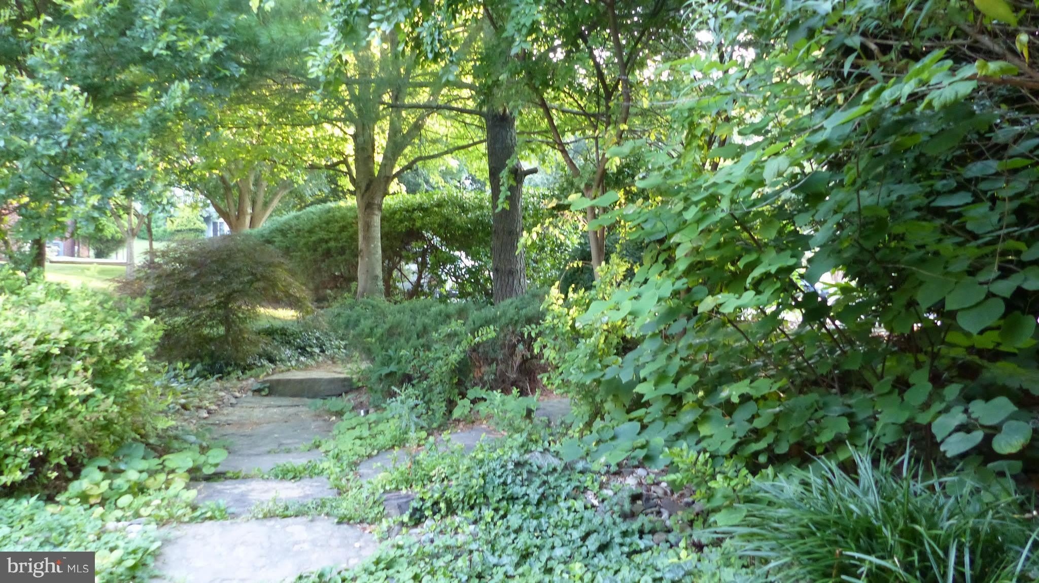 8209 Ruxton Crossing Court – photo 2