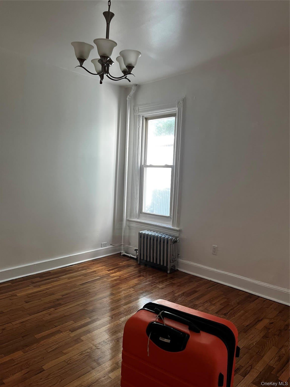 847 E 220Th Street – photo 5