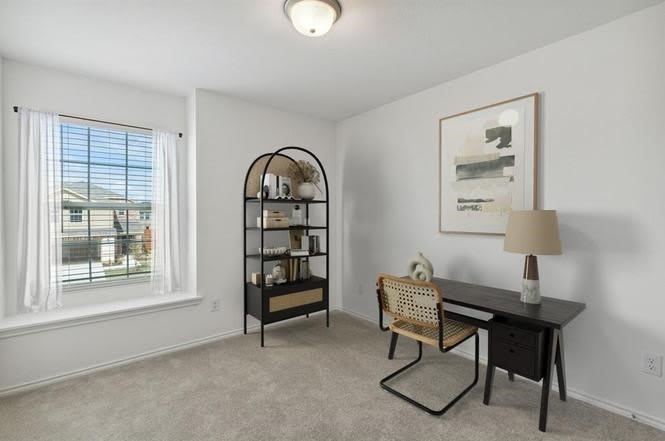 2502 Carlow Lane – photo 5