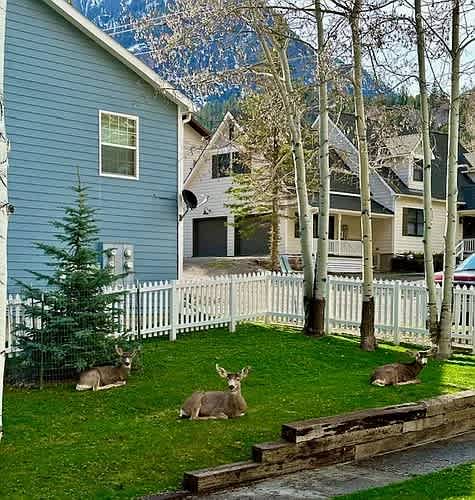 114 Spruce Court – photo 2