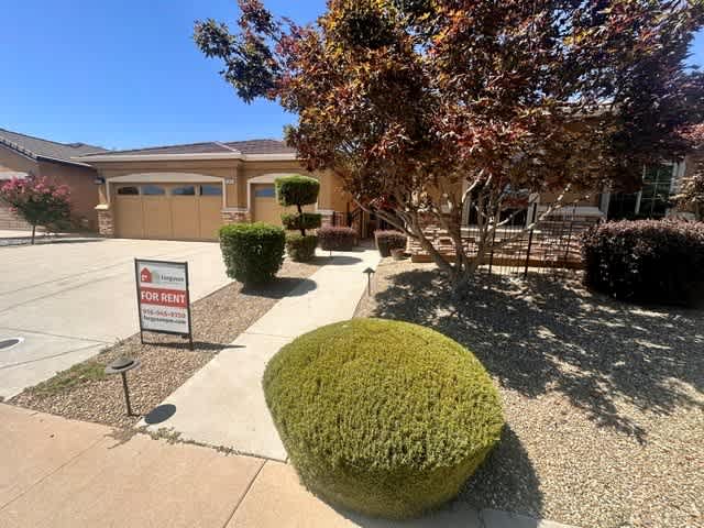 12425 Kibbie Lake Way – photo 2