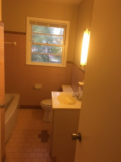 500 Move In Special 500 Off The First Month S Rent A Must See 3 2 Charming Brick Ranch With A Newly Renovated Kitchen – photo 5