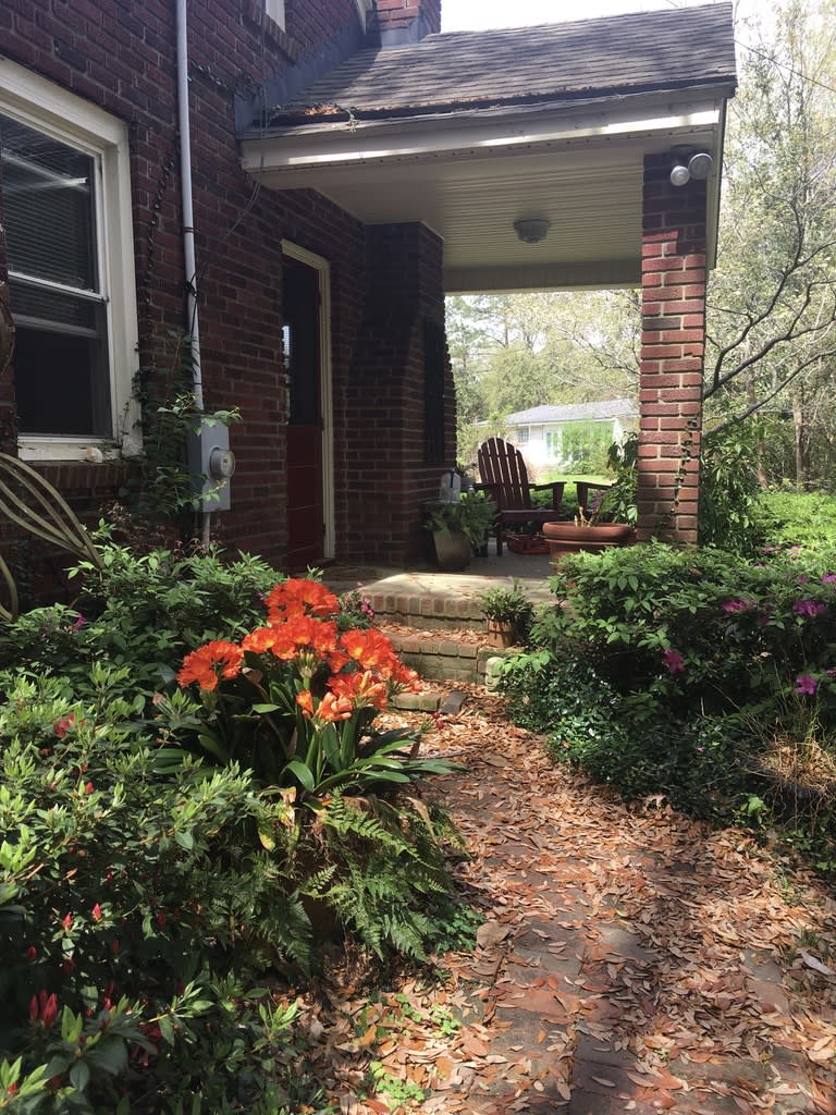 1217 Hollywood Dr – photo 4