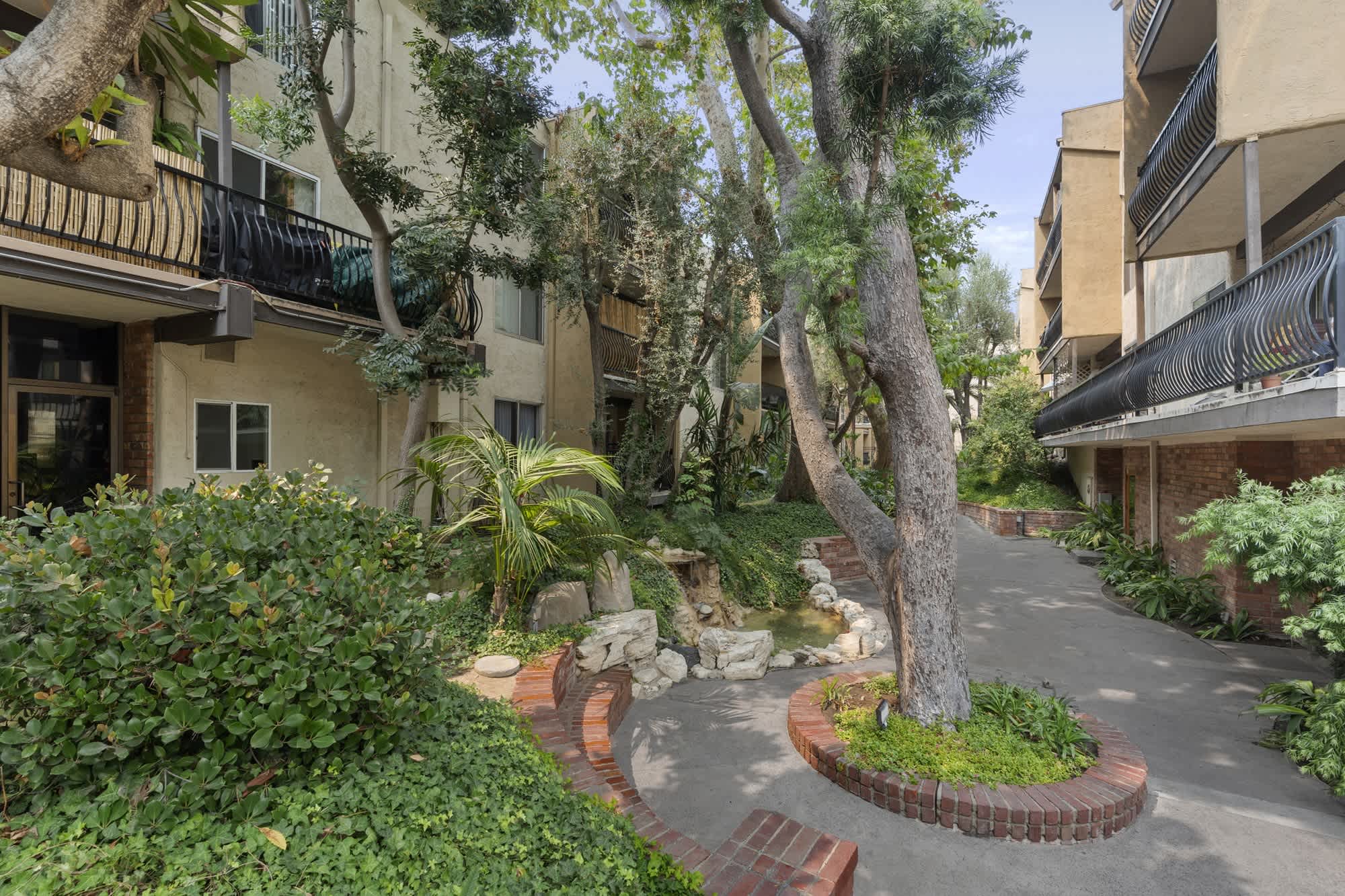 The Palms – photo 5