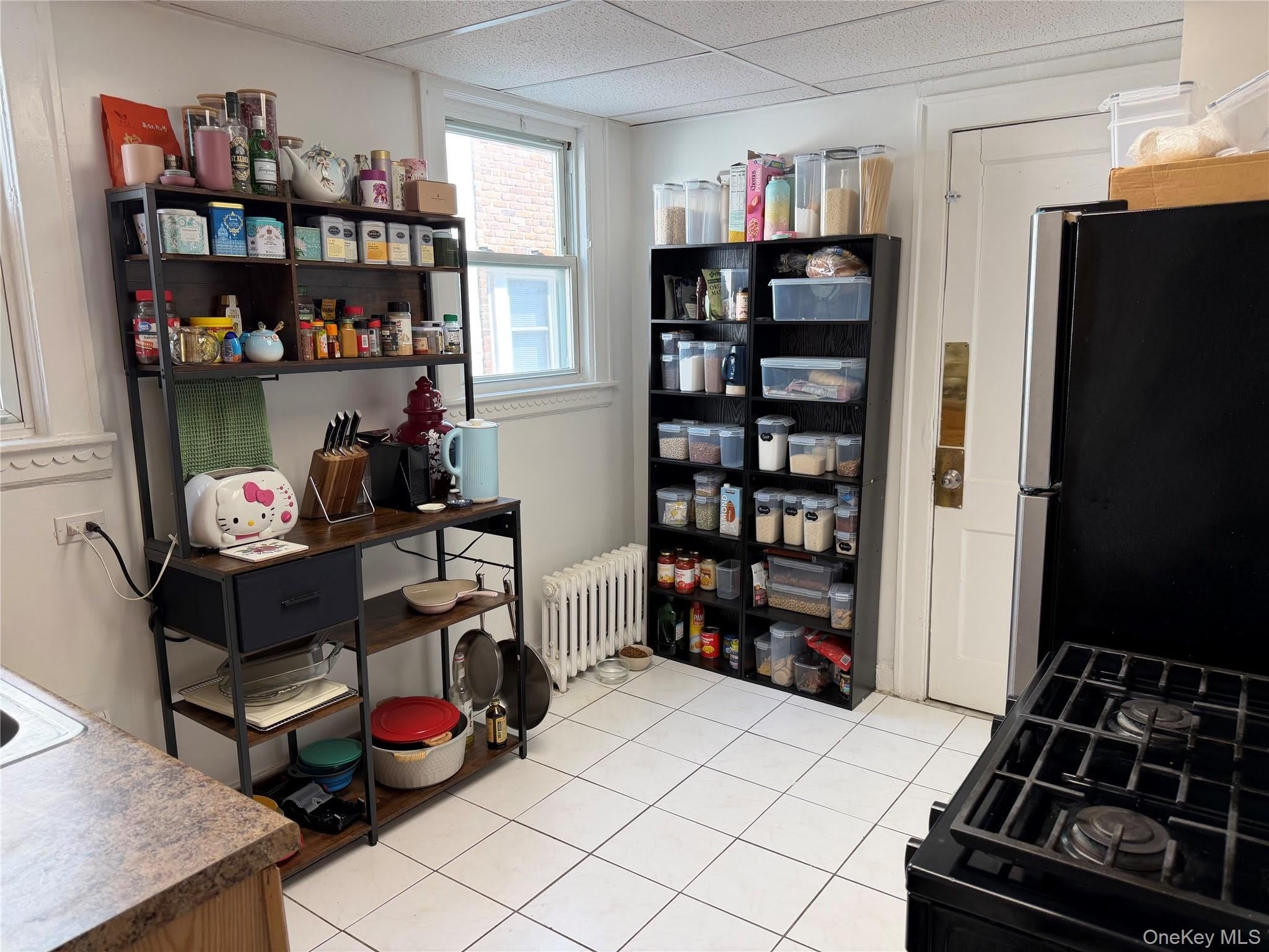 527 W Beech Street – photo 2