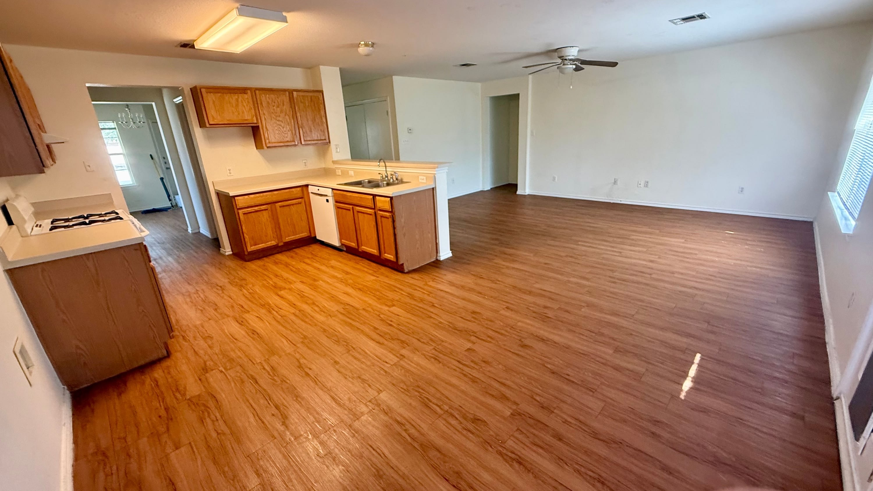 940 Goldenrod St – photo 5
