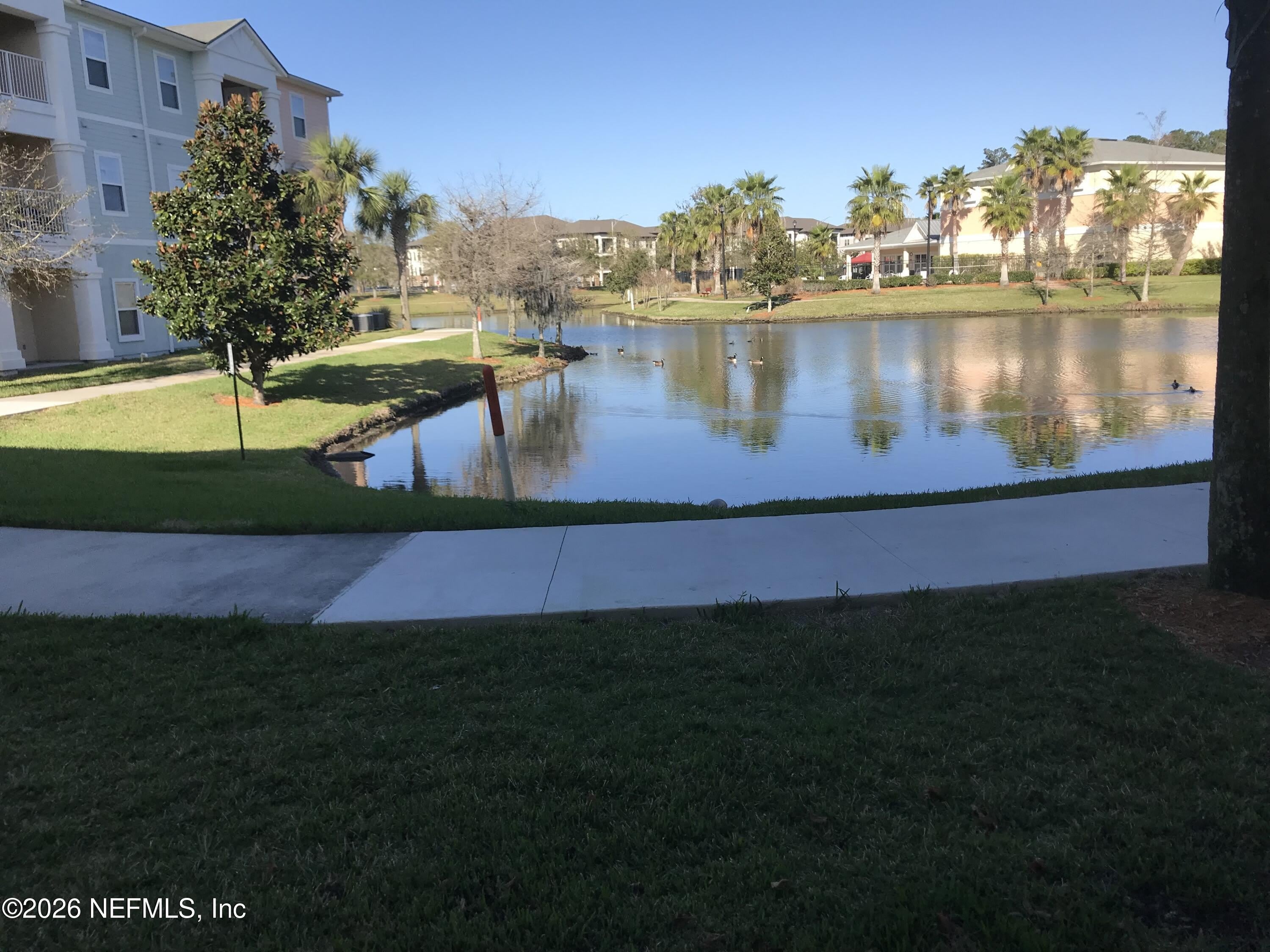 8201 GREEN PARROT Road – photo 4