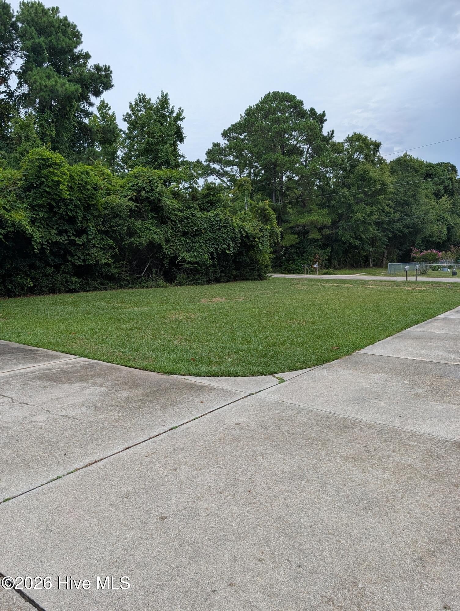 300 Williams Store Road – photo 3