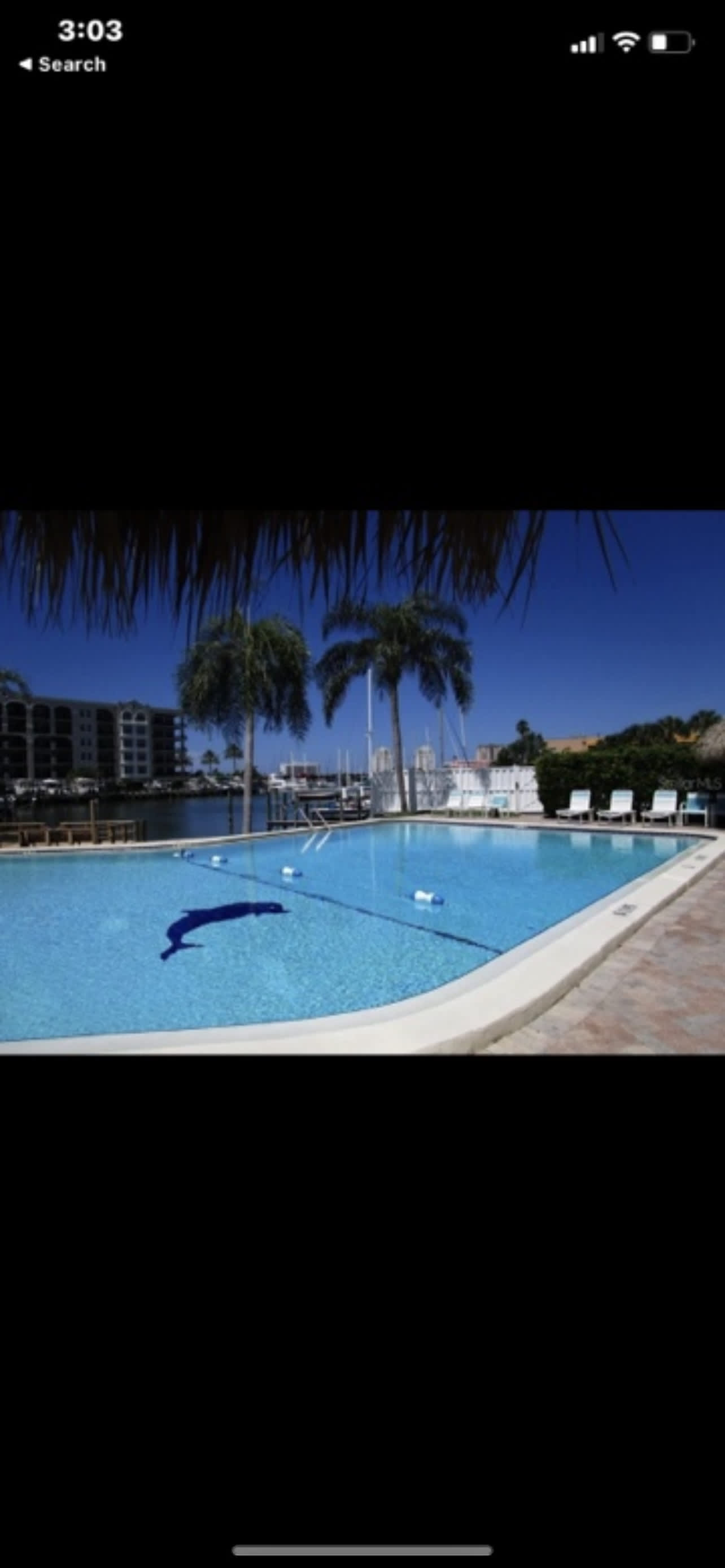 255 Dolphin Point – photo 3