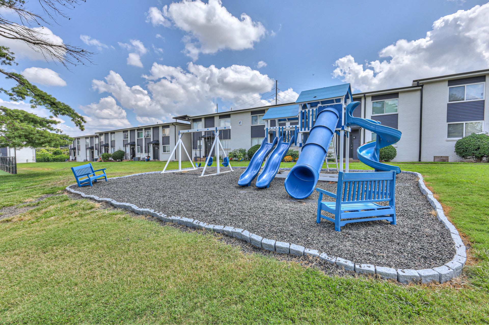 Avery – photo 5