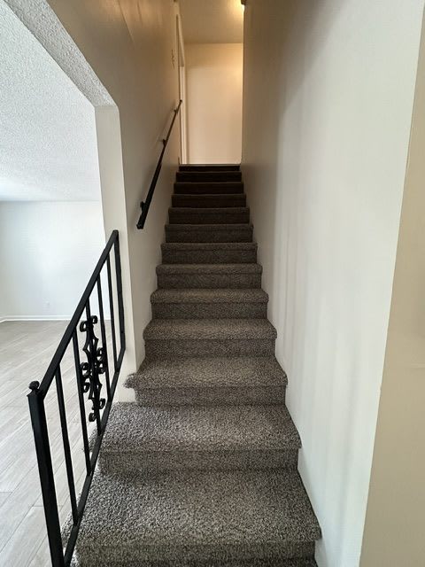 202 Seminole Trail – photo 5
