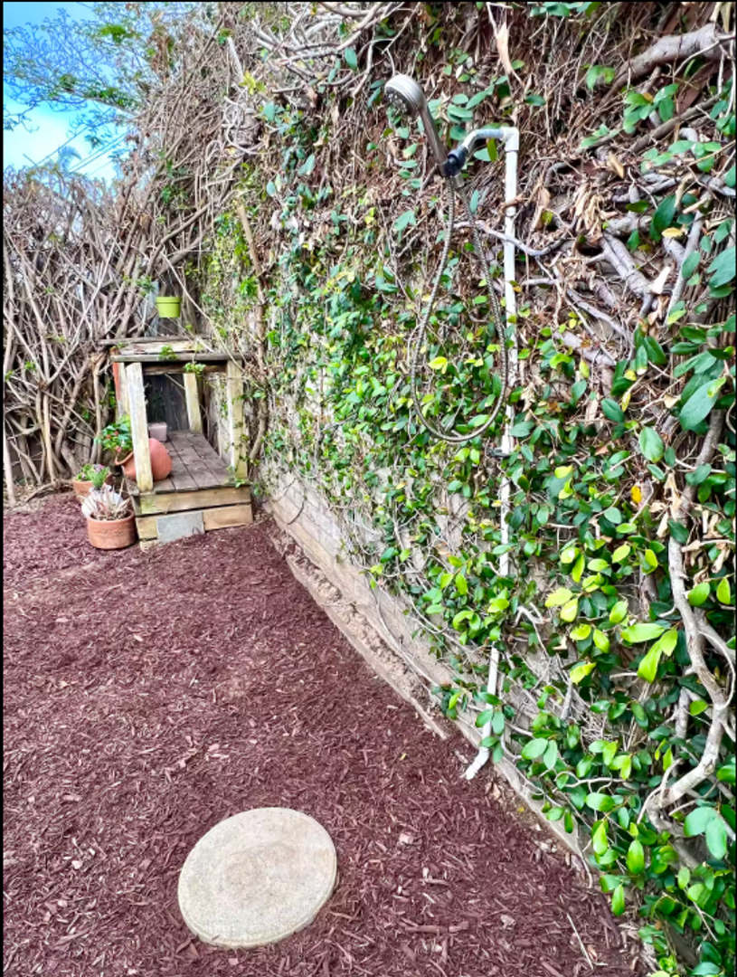 Coastal Charm in the Heart of Encinitas – 2 Bed, 1 Bath Avail 12/1 – photo 3