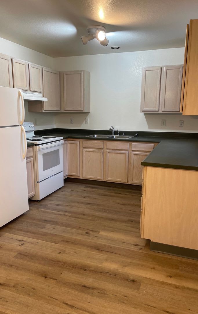 Charming Newly Remodeled 2-Bedroom, 1-Bath in Belgrade – photo 2