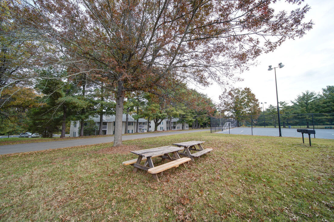 Falcon Pointe – photo 4