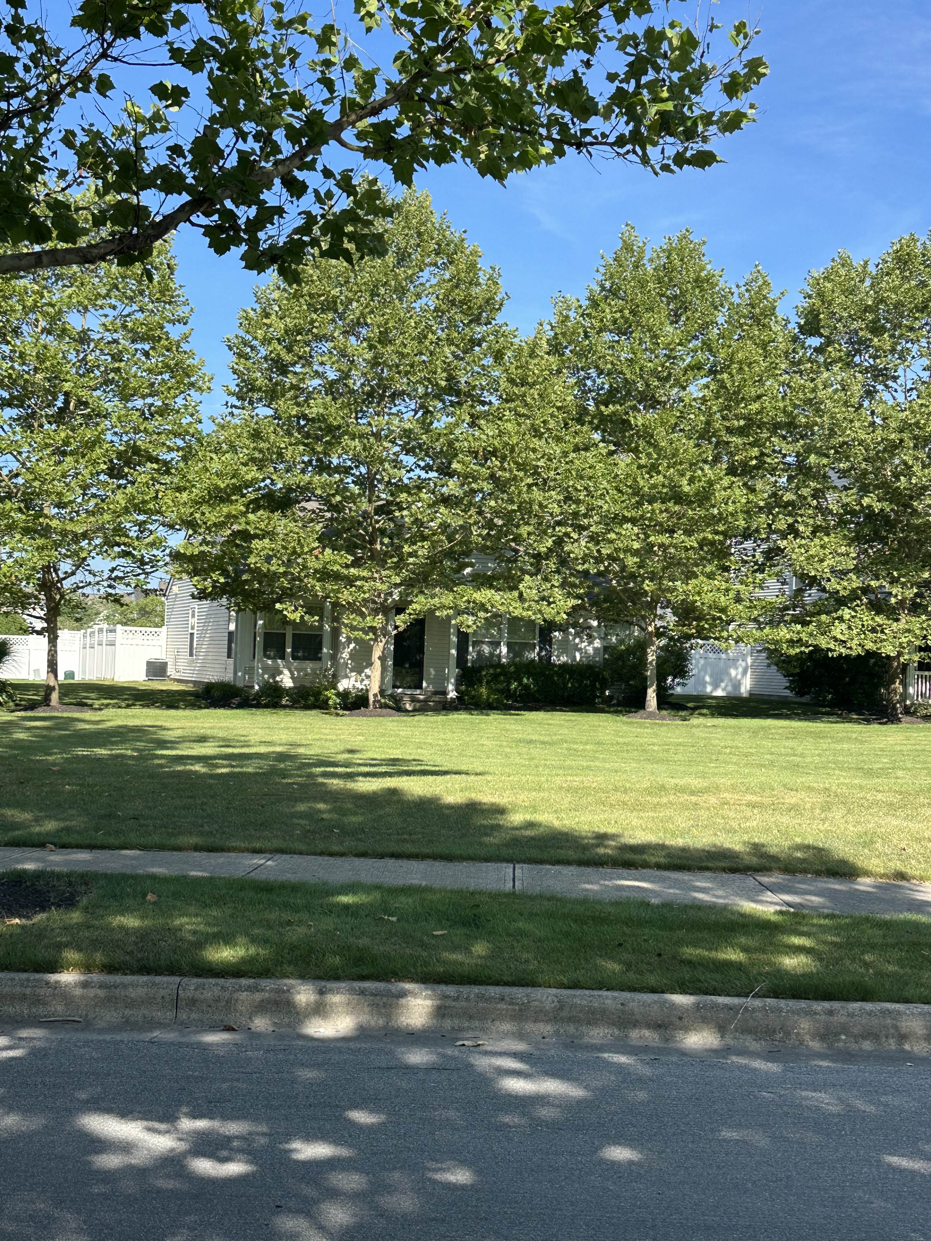 5994 Inslee Rd – photo 1