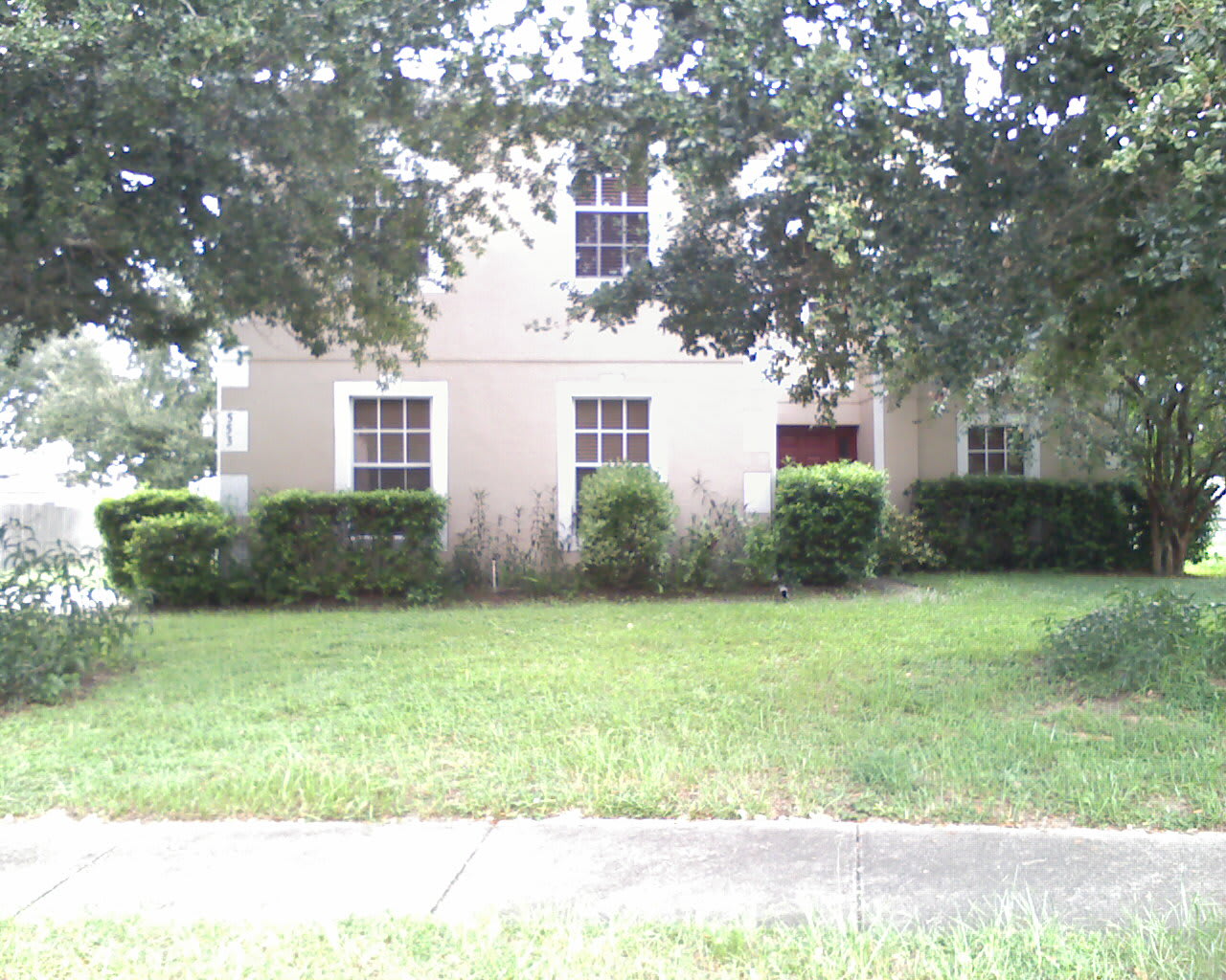 553 Yearling Cove Loop – photo 3