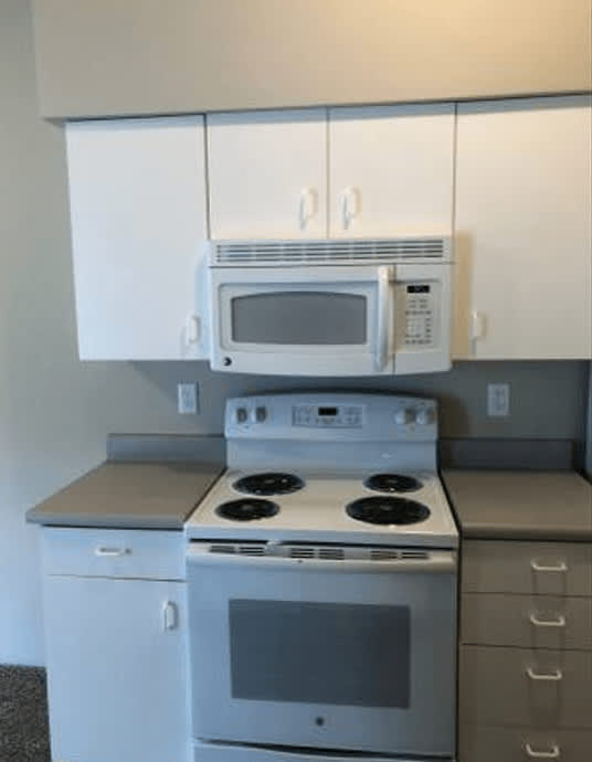 The Woodlands Apartments – photo 2