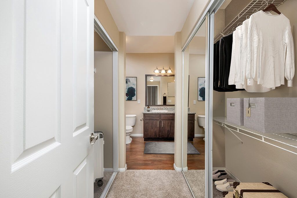 Campana Crown Valley Apartments – photo 5