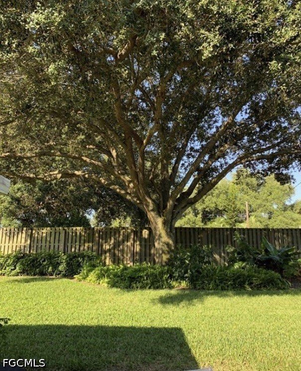 21174 Butchers Holler – photo 4