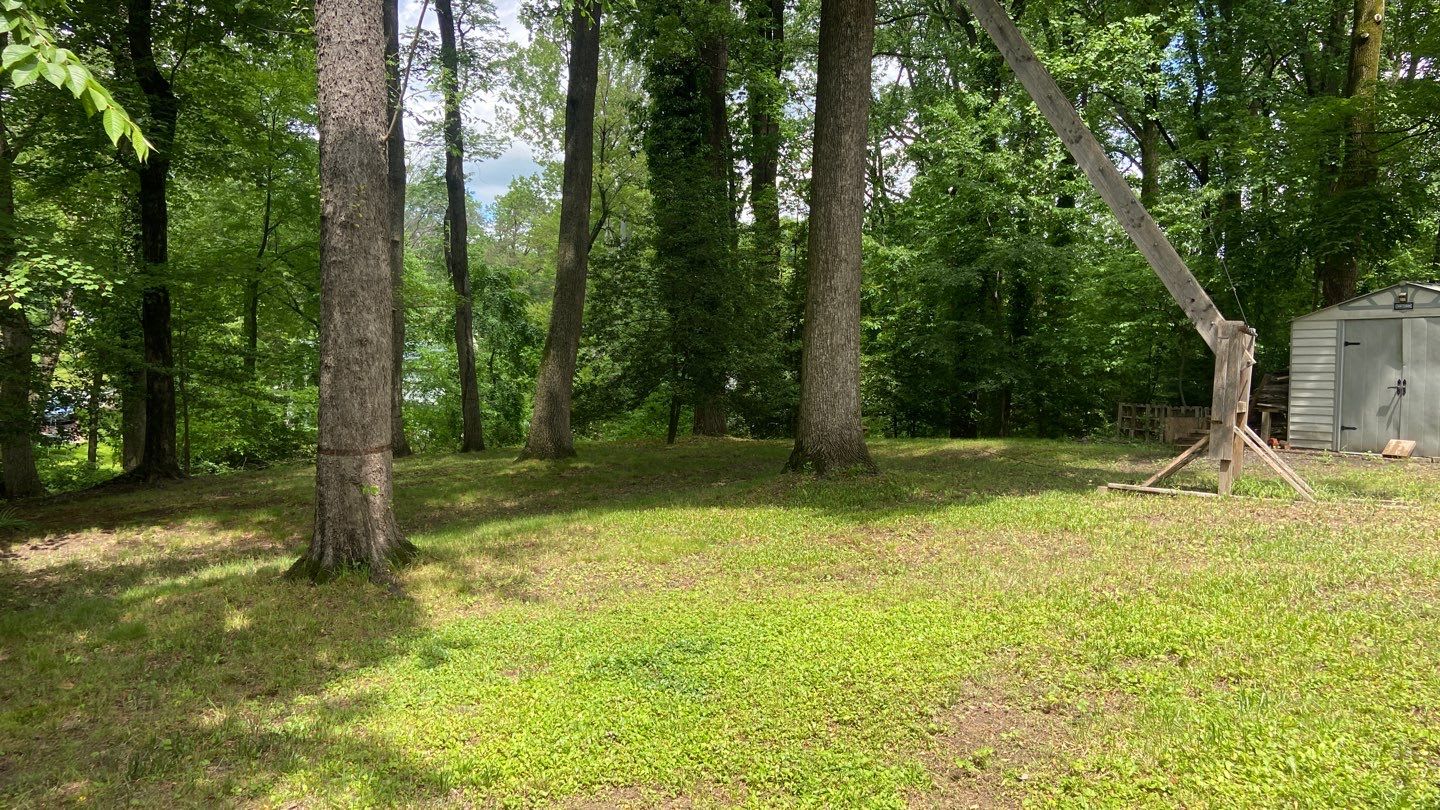 6006 Windham Rd – photo 3