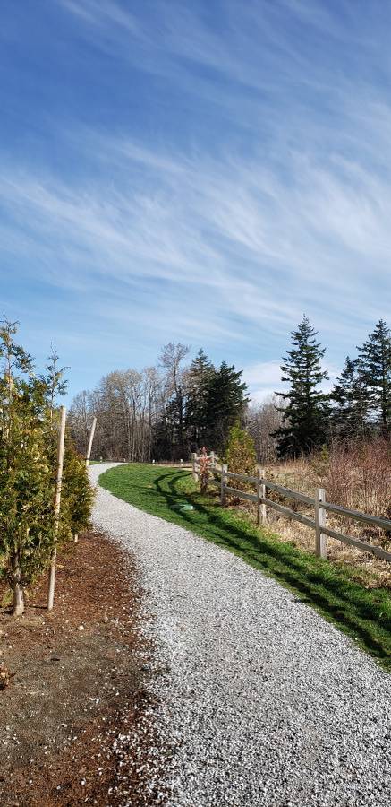 Park View Village – photo 5