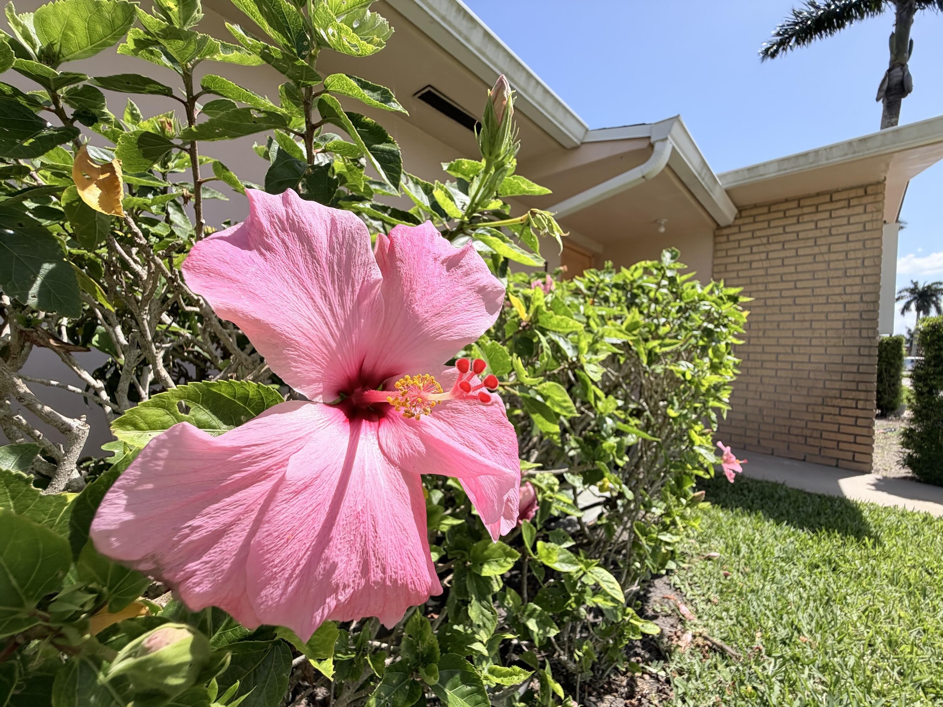 2607 Dudley Drive W – photo 3