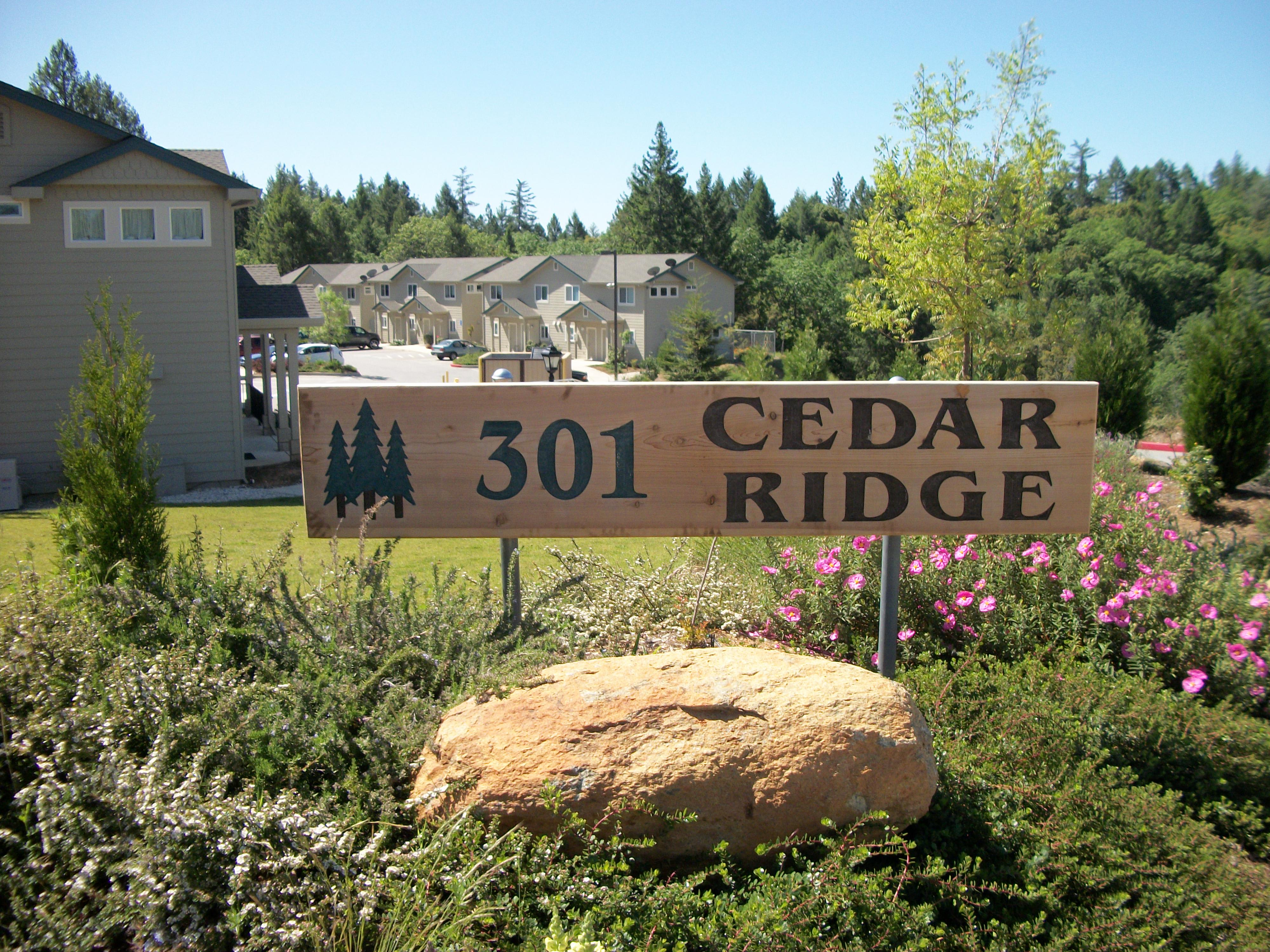 301 Canyon Creek Dr – photo 1