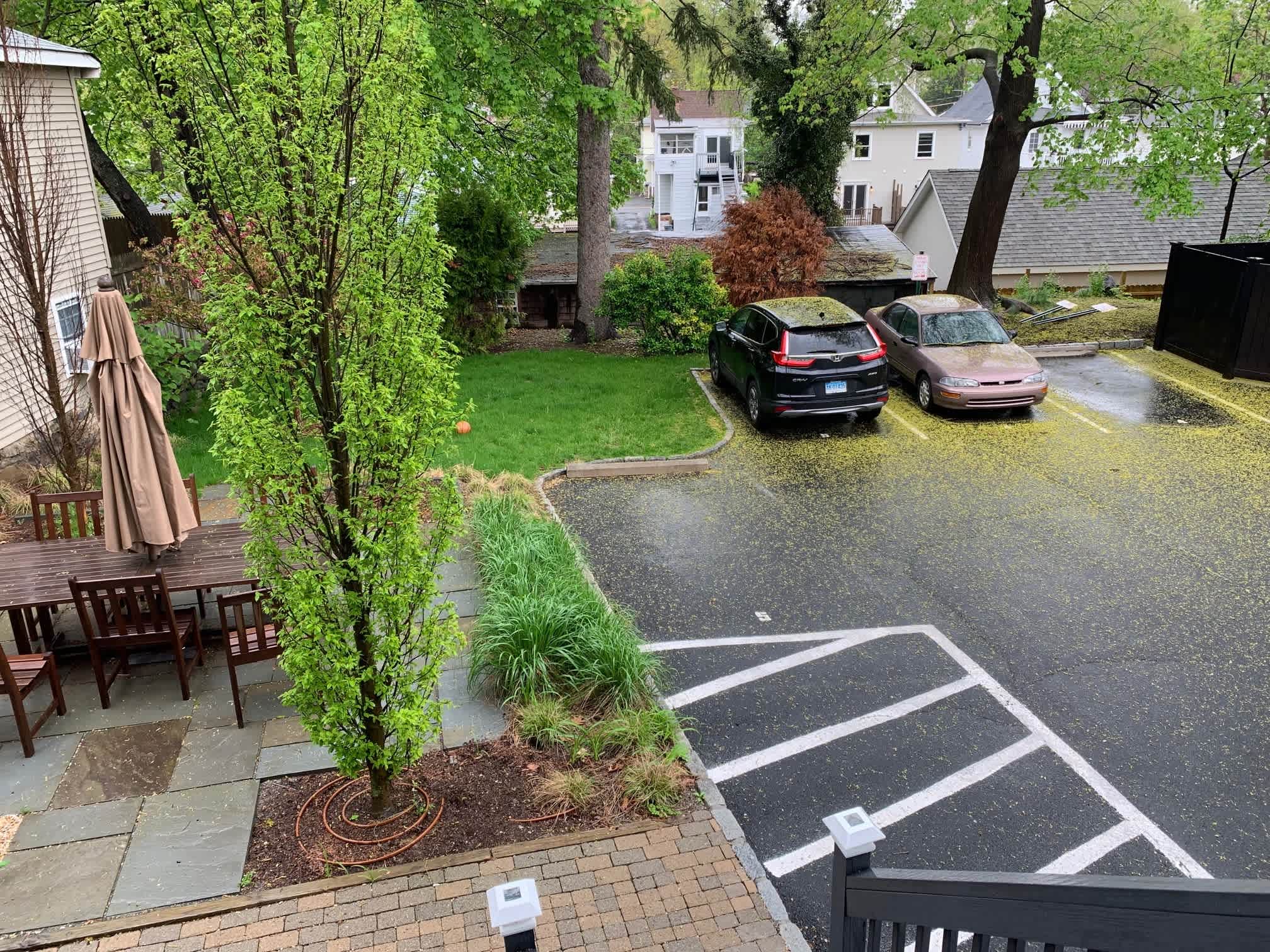 21 Oak Ridge Street – photo 2