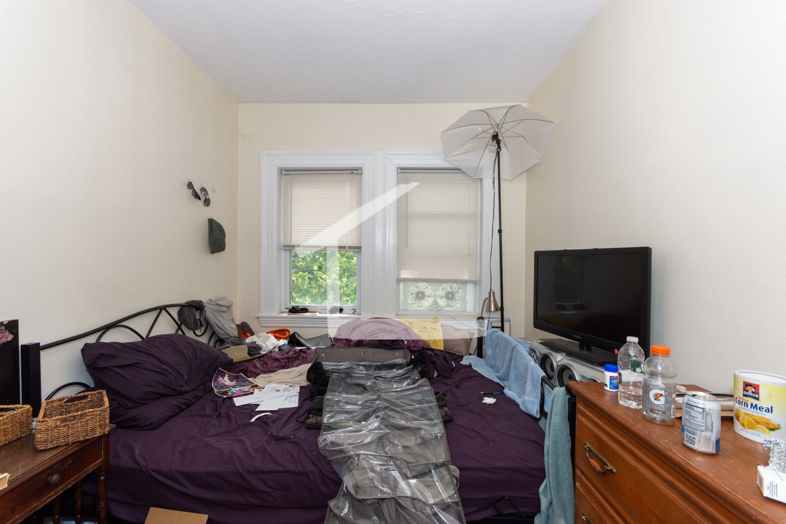 Nice 5 bed in Brighton – photo 4